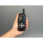 dogtrace 600 pulsar