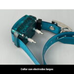 dogtrace 900 mini+