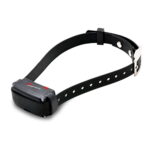 dogtrace professional 2000 one+ negro