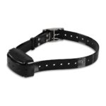 dogtrace professional 2000 – negro