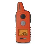 dogtrace professional 2000 – naranja