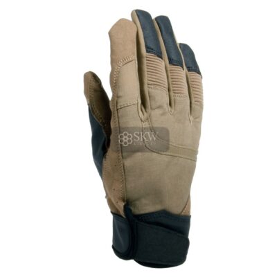 import placeholder for dtx022