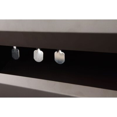 diana de 5 péndulos