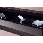 diana de péndulos 4 ratas