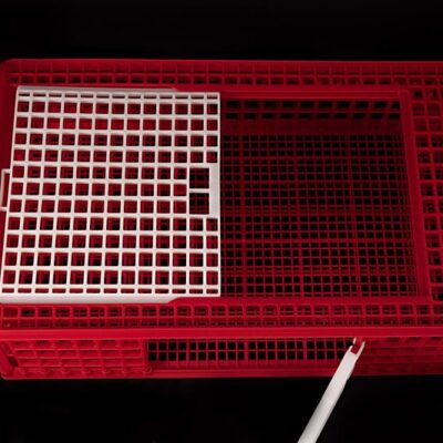 jaula plástico transporte de aves (3 puertas)