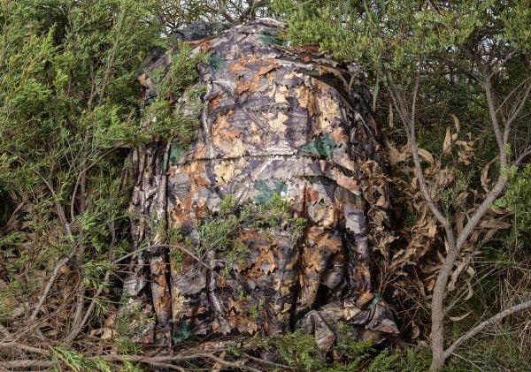 dscf4925 600x421 1.jpg dscf4925 600x421 1.jpg