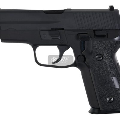 f228 pistola gbb we f002.jpg