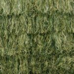 red camuflaje camo fiber