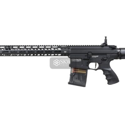 gg tr16 sbr308 m lok g2h 016 mlk bnb ncm.jpg