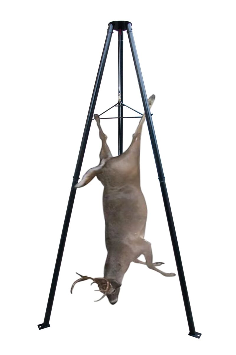 img 0323 2 scaled 1.jpg img 0323 2 scaled 1.jpg