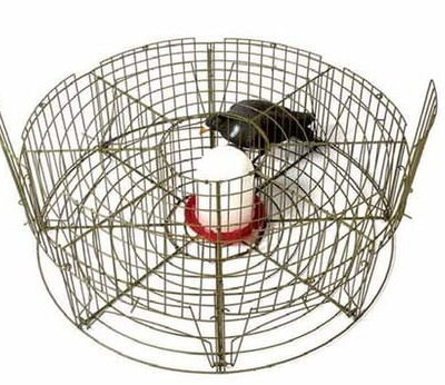 jaula de captura para palomas 520x520 1.jpeg