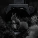 visor multiespectral térmico para rifle pard landsat compact 480 / 640 ir con telémetro