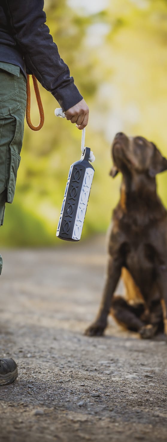 import placeholder for 9467 import placeholder for 9467