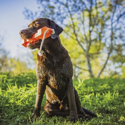 import placeholder for 9478