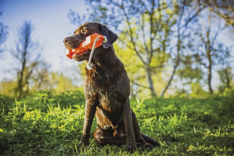 import placeholder for 9478 import placeholder for 9478