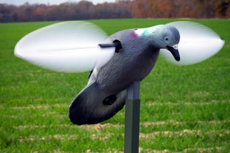 mojo pigeon decoy.jpg