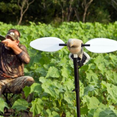 mojo voodoo dove action 828029998.jpg