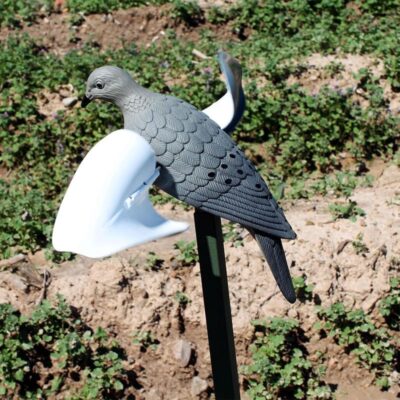 mojo wind dove decoy top.jpg