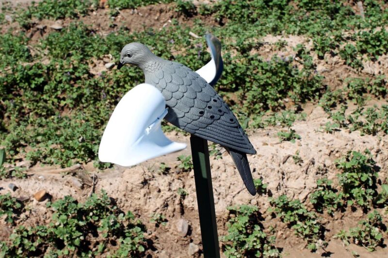 mojo wind dove decoy top.jpg