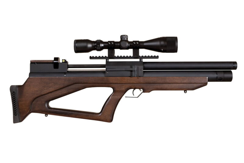 norica pcp viriatus 20 bp.jpg