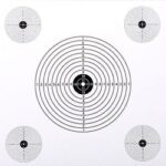 paquete 100 dianas precisión