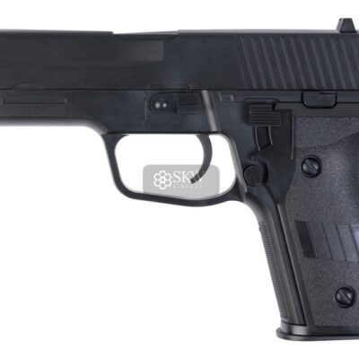 saigo defense 226 muelle.jpg