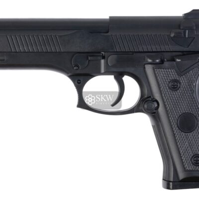 saigo defense 92 muelle.jpg