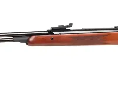 carabina diana 460 magnum