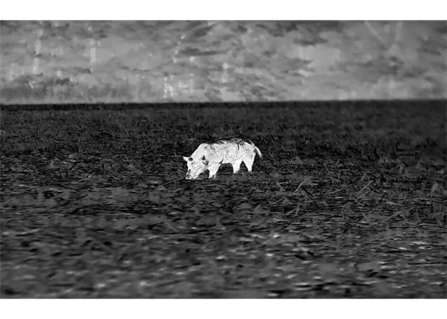 cámara termográfica infiray clip ch50 v2