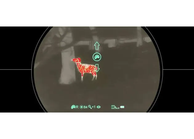 cámara termográfica infiray clip ch50w