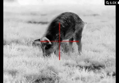 visor térmico atn mars 4 8x 320×240