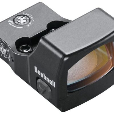 visor bushnell rxs 250 reflex sight.jpg