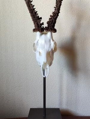 pedestal con base gruesa