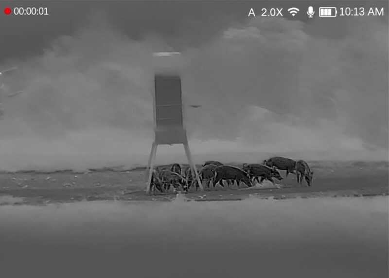 dnt_hound_h325r_monocular_termico_caza_y_defensa