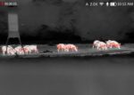 dnt_hound_h325r_monocular_termico_caza_y_defensa