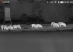 dnt_hound_h325r_monocular_termico_caza_y_defensa