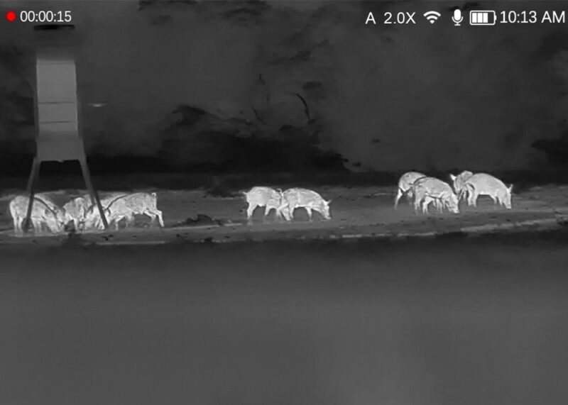 dnt_hound_h325r_monocular_termico_caza_y_defensa